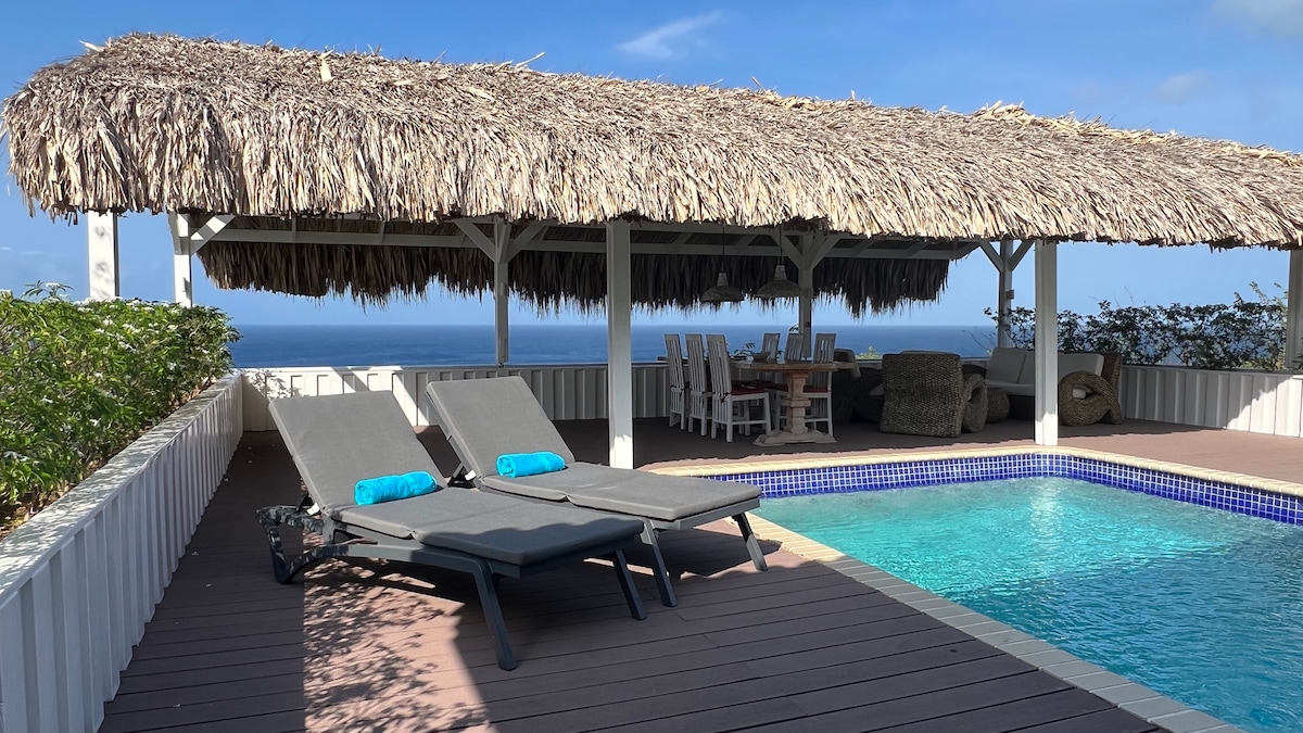 Villa Palapa view offers stunning ocean view