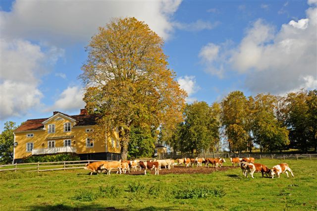 Vistelse i en herrgårdsmiljö med unik natur.