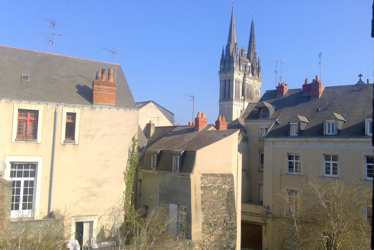 Appartement cosy et atypique coeur de ville