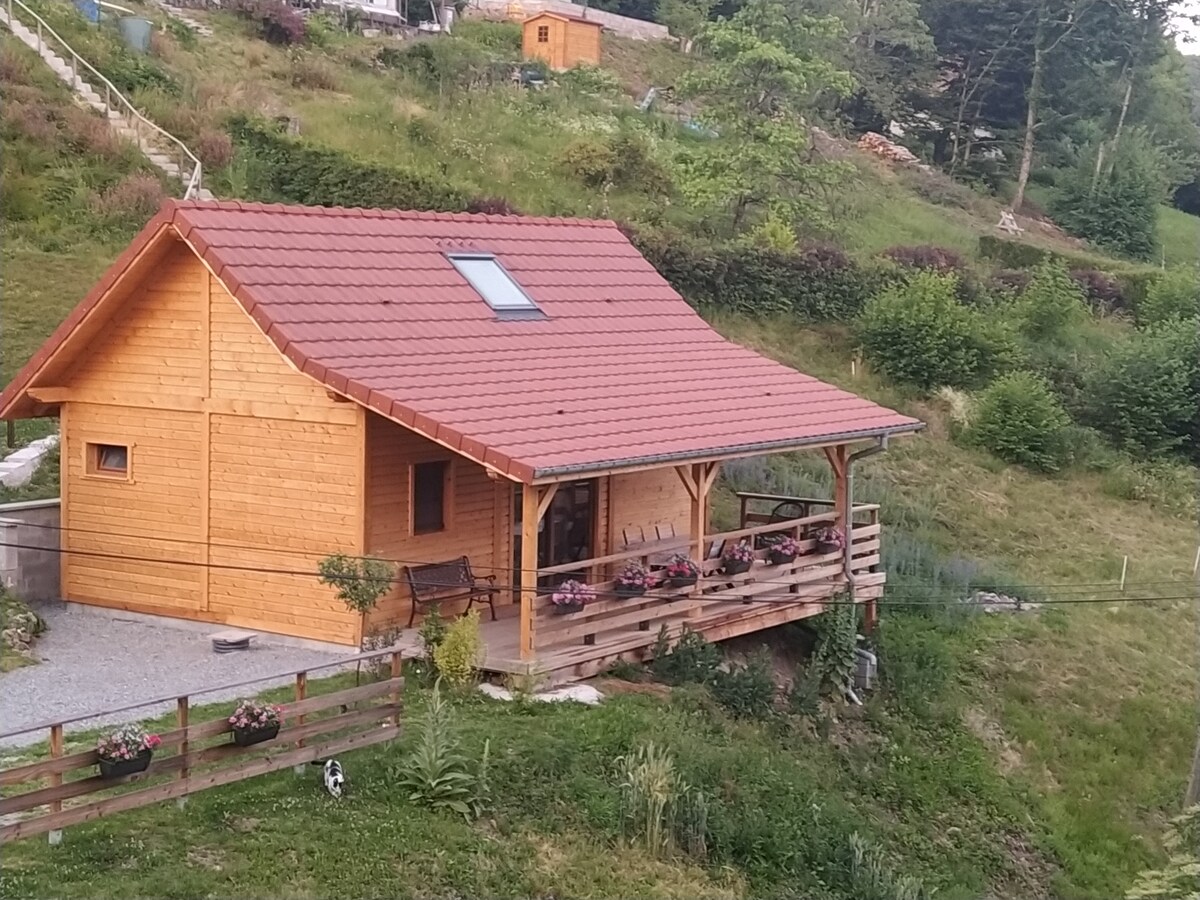 Wooden house with terrace