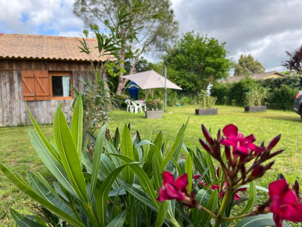 La petite cabane bleue planquée dans la prairie