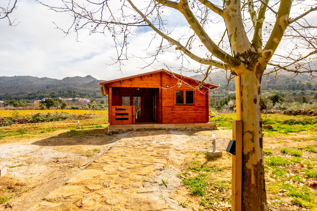 Quinta do Quinto - Casa do Pinheiro