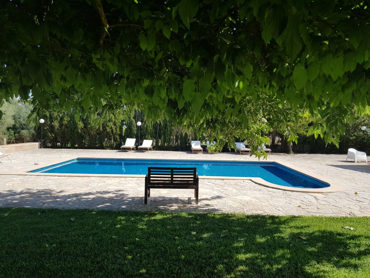 PALMA DE MALLORCA泳池和无线网络阳光明媚的客栈