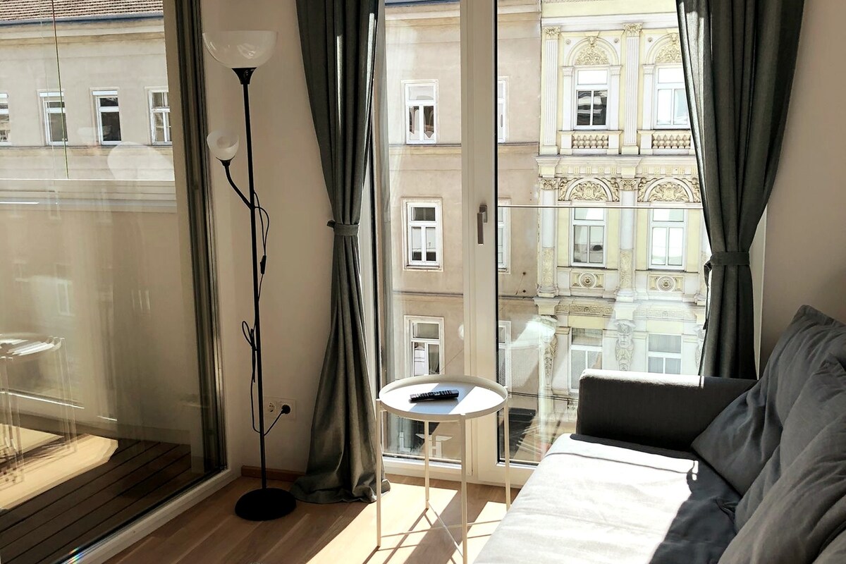维也纳阳光明媚的公寓