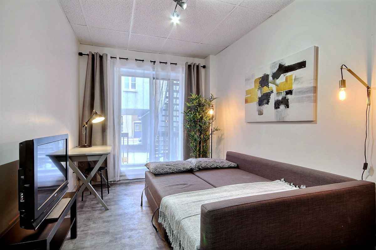巴斯维尔（ Basse-Ville ）的舒适小公寓