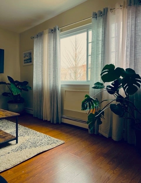 Cozy, peaceful, sunlit space in Brooklyn.