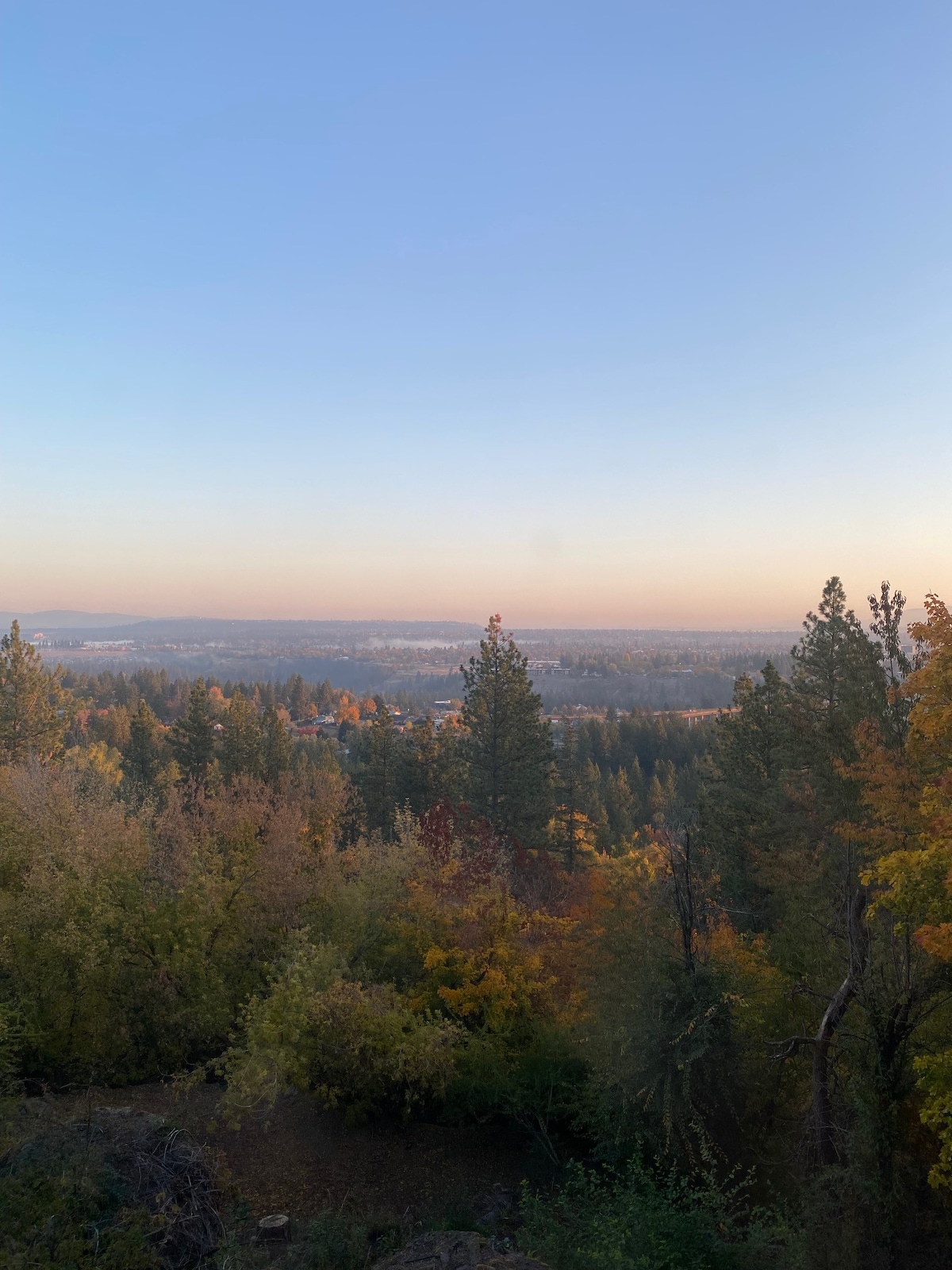 Spectacular City View! off of Grandview Ave.