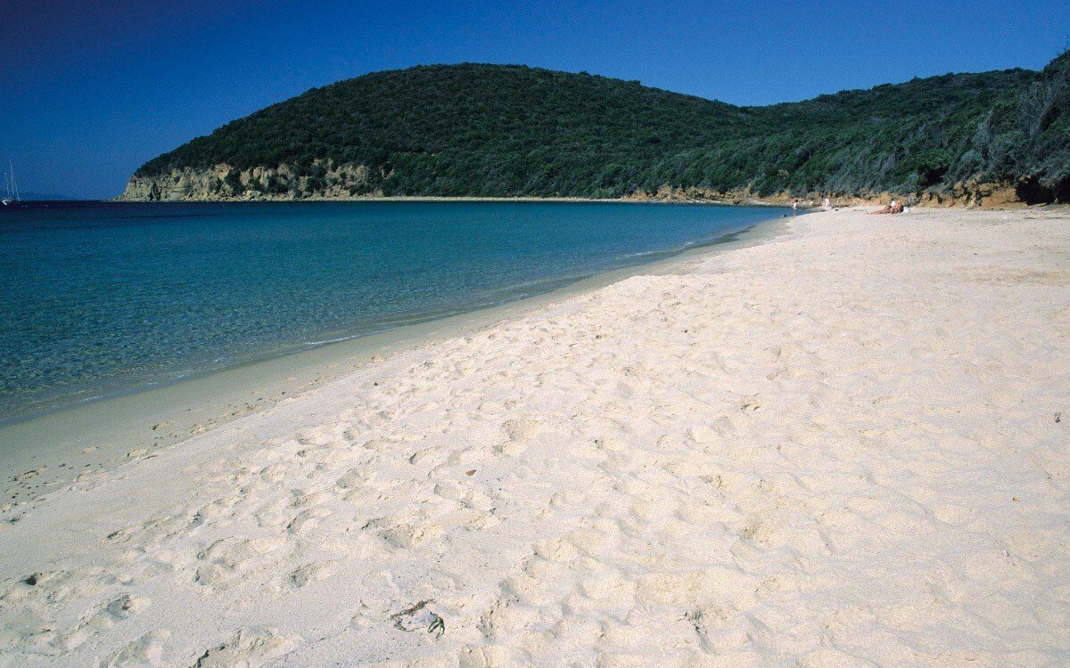 Cala Violina mare di maremma