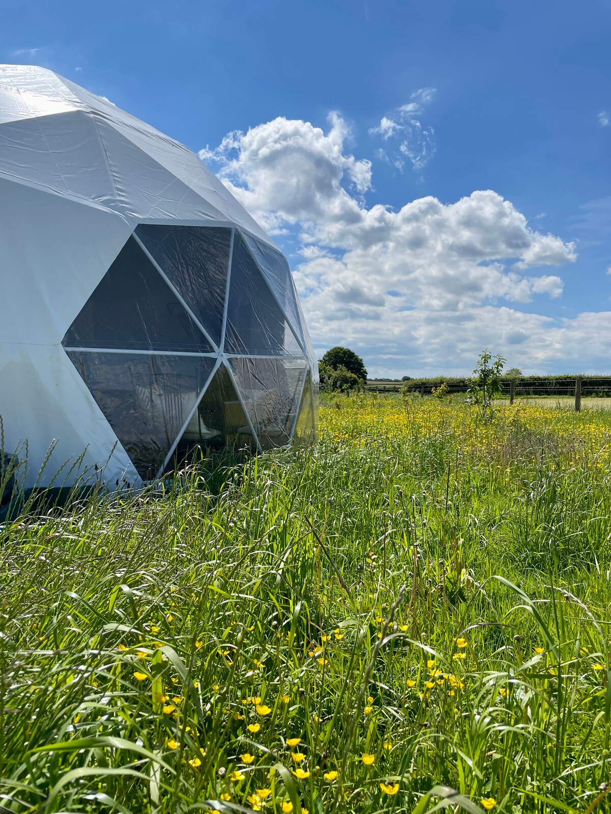 Geodome Unique Glamping