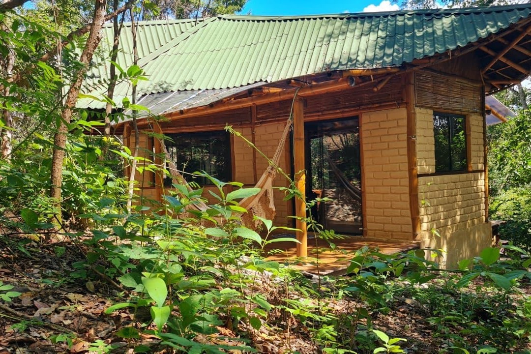 Dragonfly House! Nature retreat with great wifi