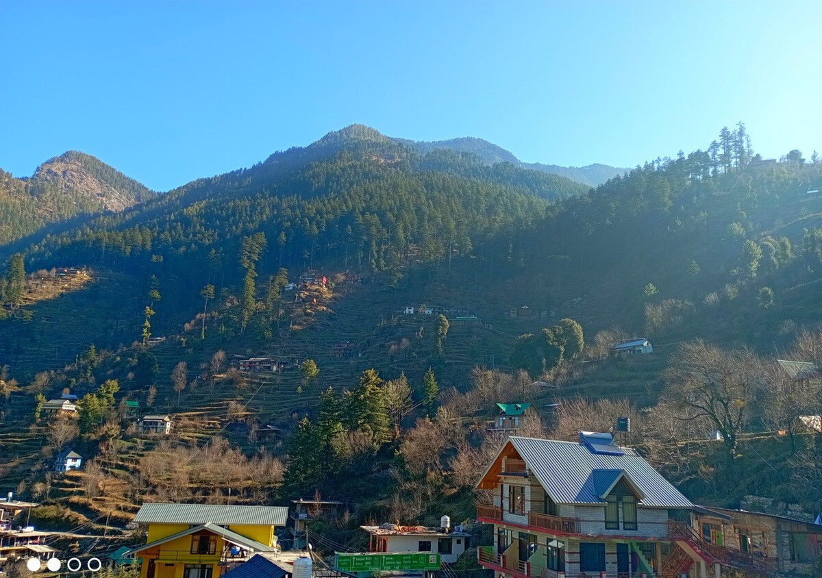 Deluxe at Green Himalayan Jibhi - MAP