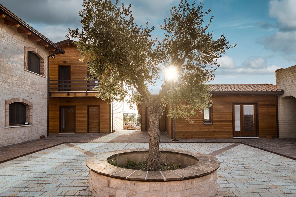Borgo Olivo - Casa di Pietra
