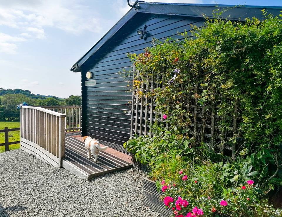 Tranquil, country retreat sleeps four dog friendly