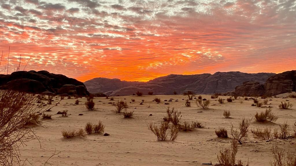 Bivouac sous les étoiles au Wadi Rum