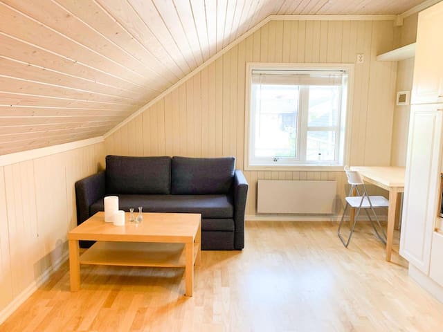 Ålesund的民宿
