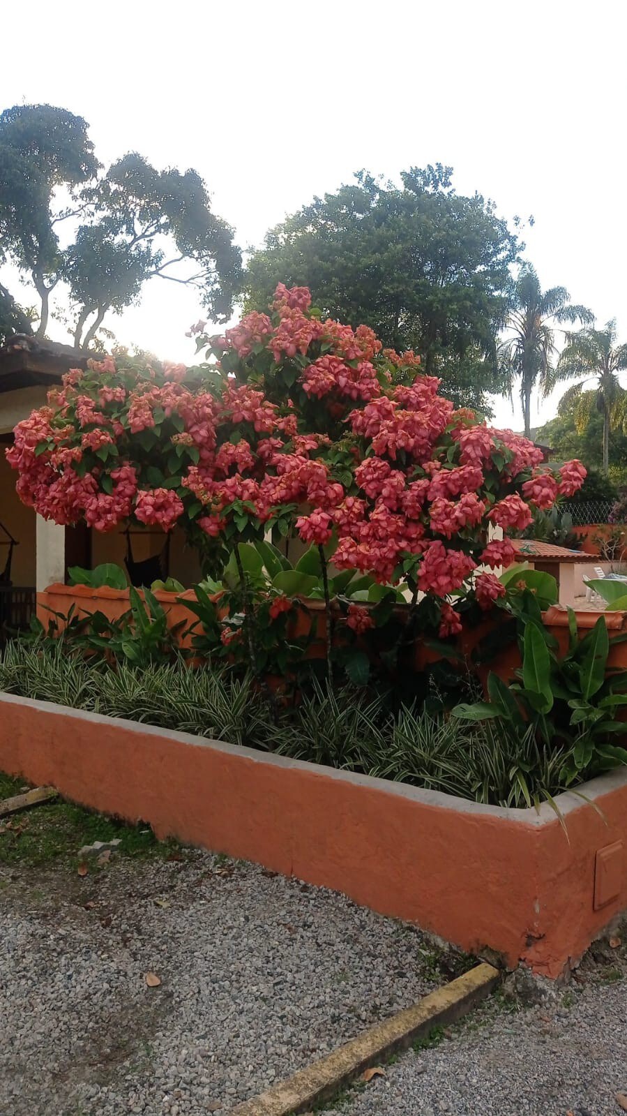 Casa BBB! Boa  Bonita  Barata. Preços imperdíveis