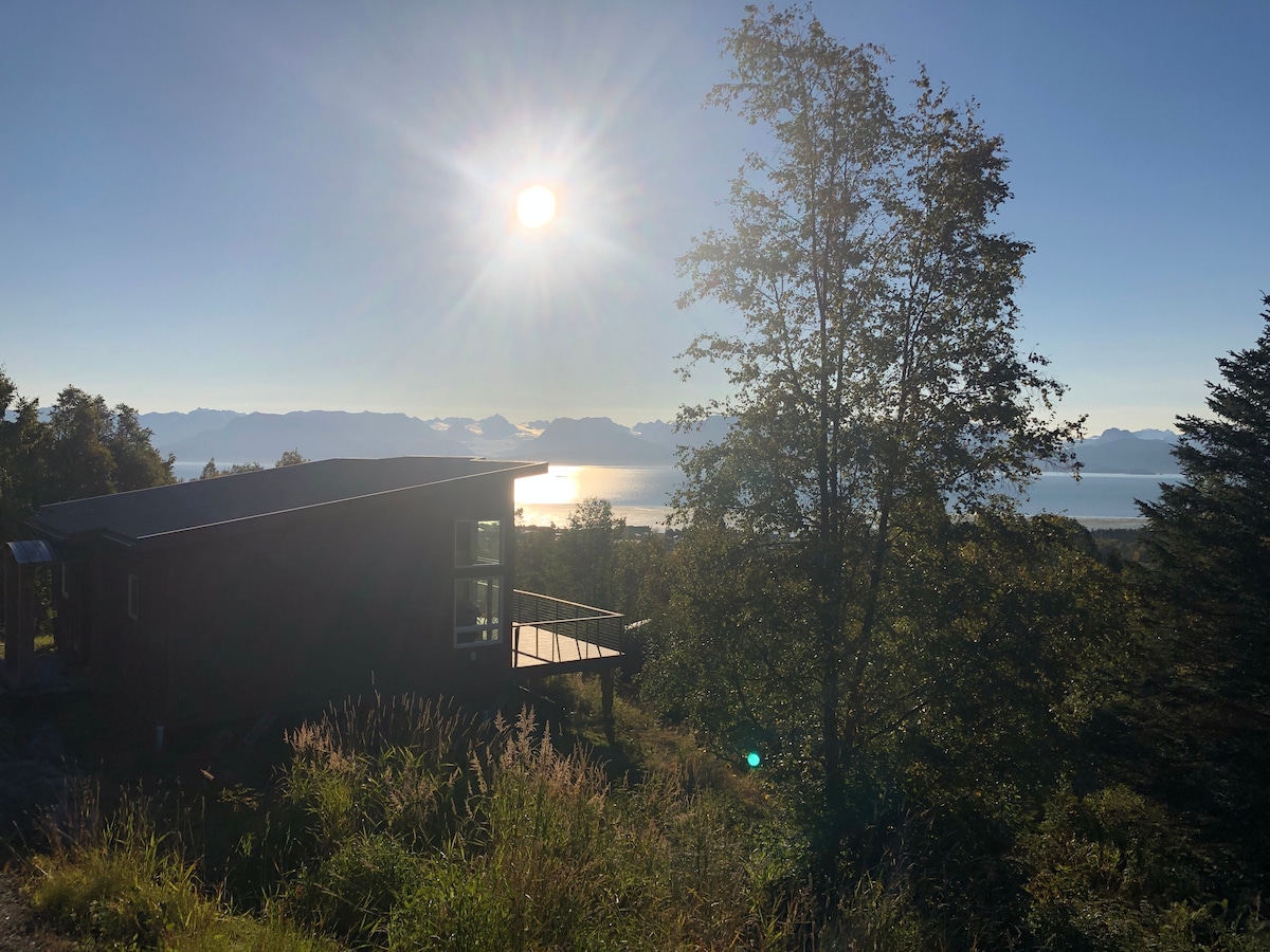 Modern cabin with spectacular views!