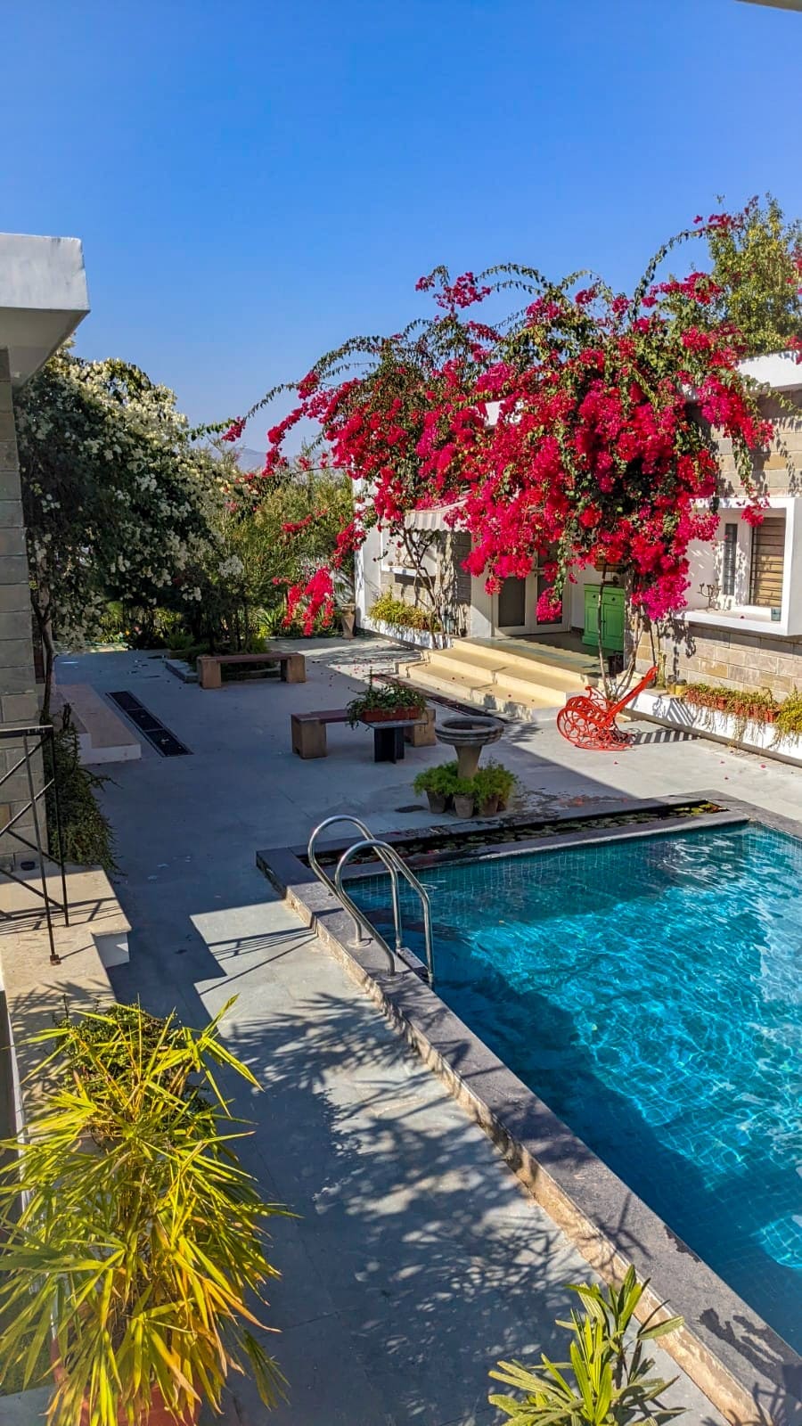 Jungle House Jaipur: 03 Bedroom Private Pool Villa