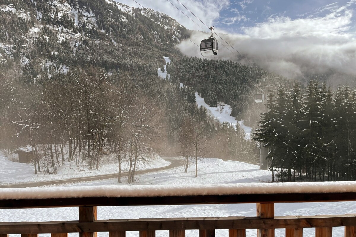 Stylish Ski Chalet sleeps 10 in Vaujany, Alps