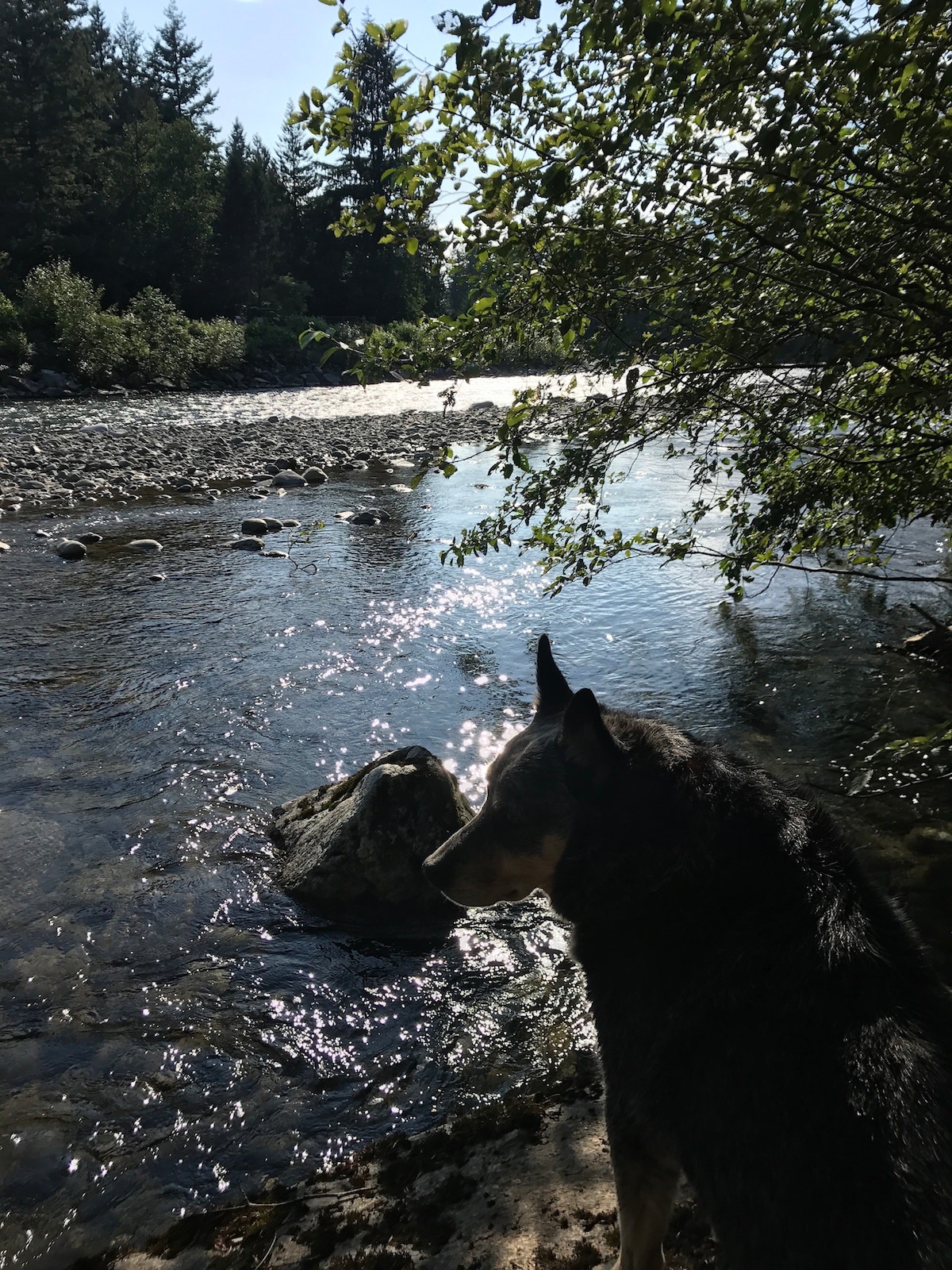 Bend in the River B&B