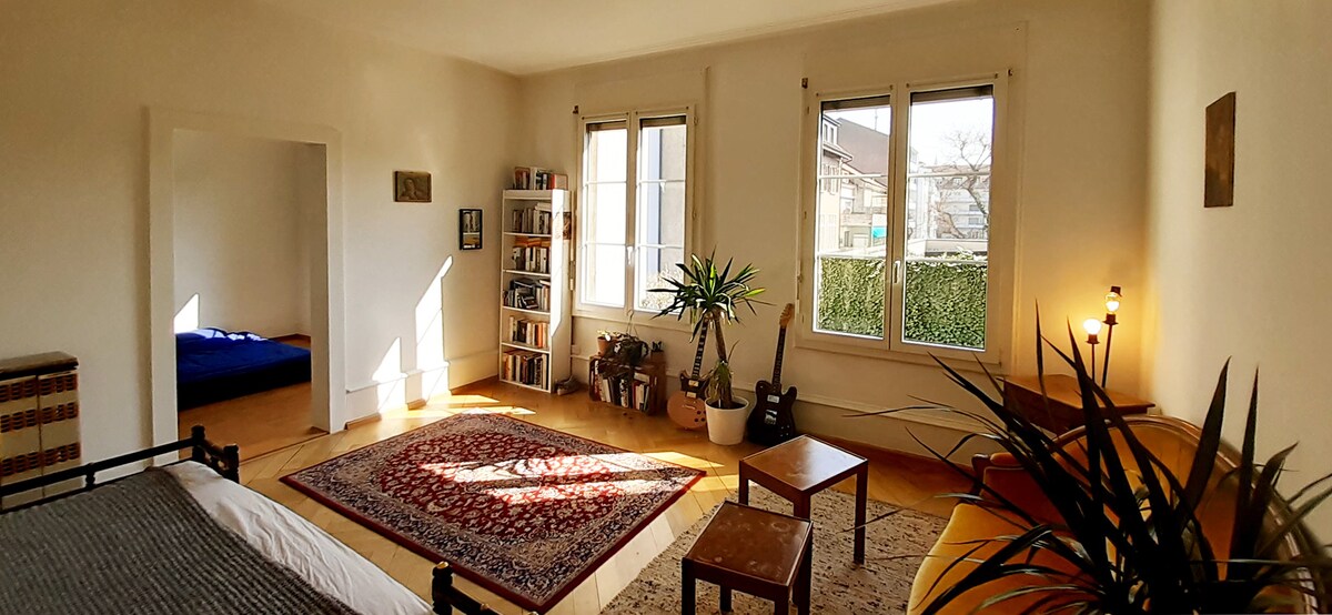 美丽明亮的3卧室公寓，靠近巴塞尔艺术博览会