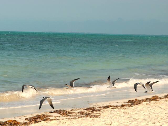 Playa Santa Lucia的民宿