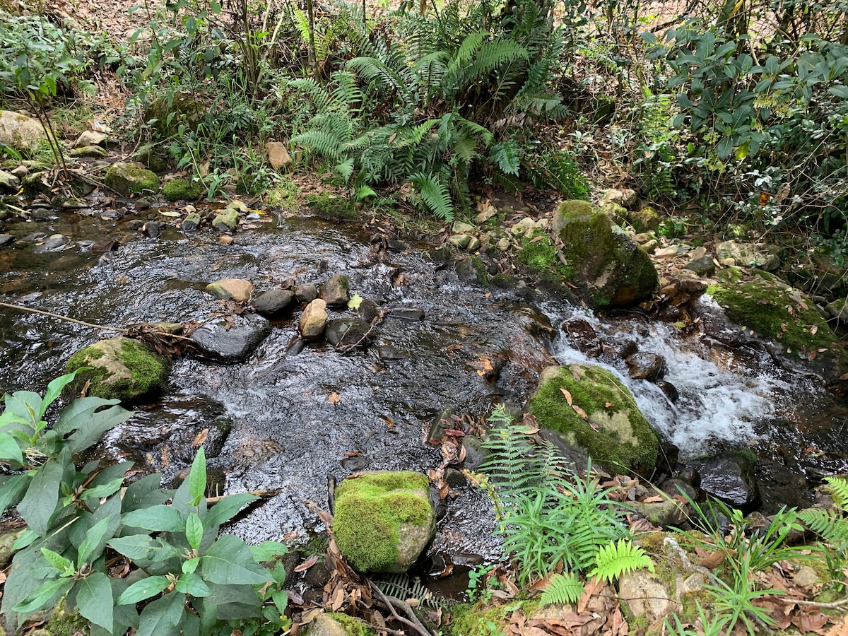 Hermoso camping entre montañas y bosque de pinos