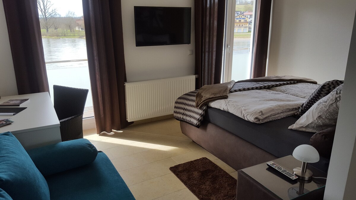 带沙发床的度假房间（公寓和多瑙河景观房间）