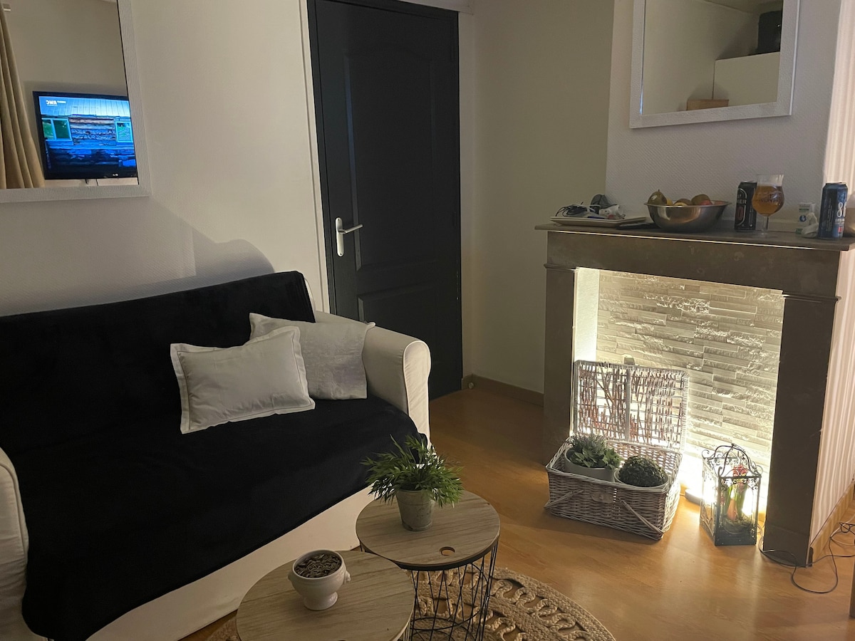 Appartement cosy proche Euratechnologie