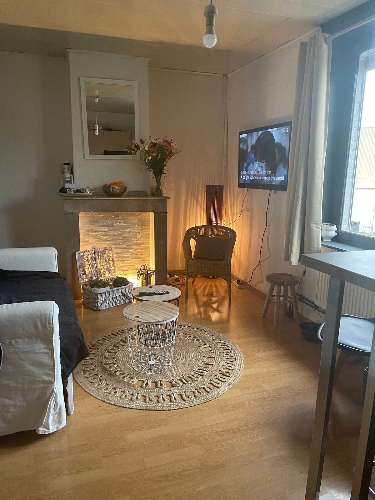 Appartement cosy proche Euratechnologie