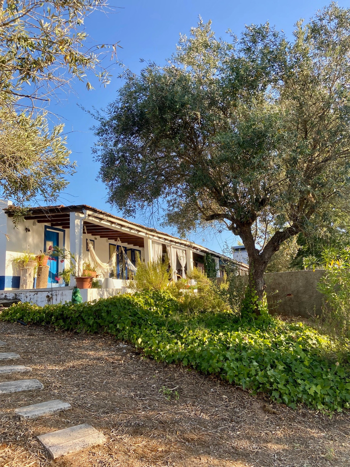 蒙特库雷拉（ Monte Courela ） ：阿伦特霍（ Alentejo ）的游泳池、大自然与宁静