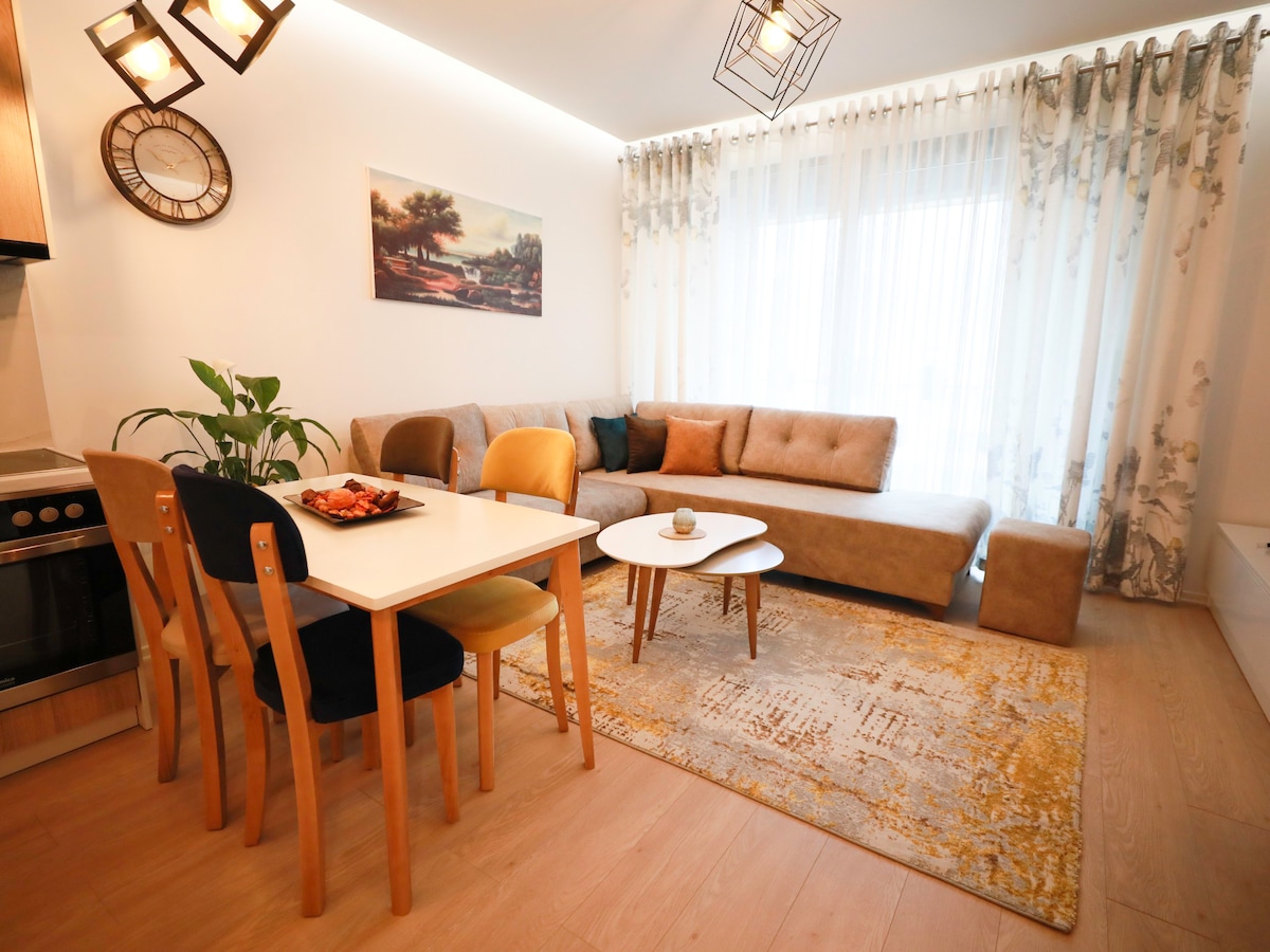 地拉内（ Tiranë ）可爱的单卧室公寓