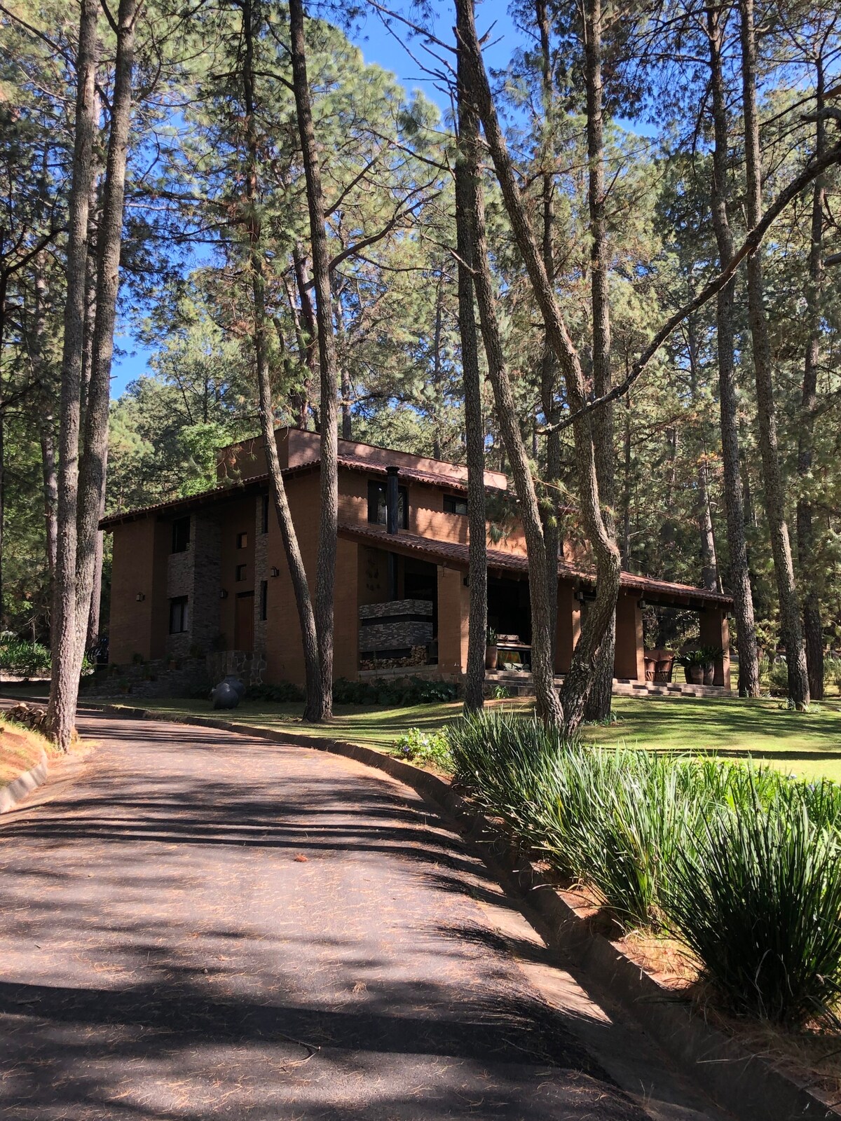 Cabaña en medio del bosque, Hacienda San Francisco