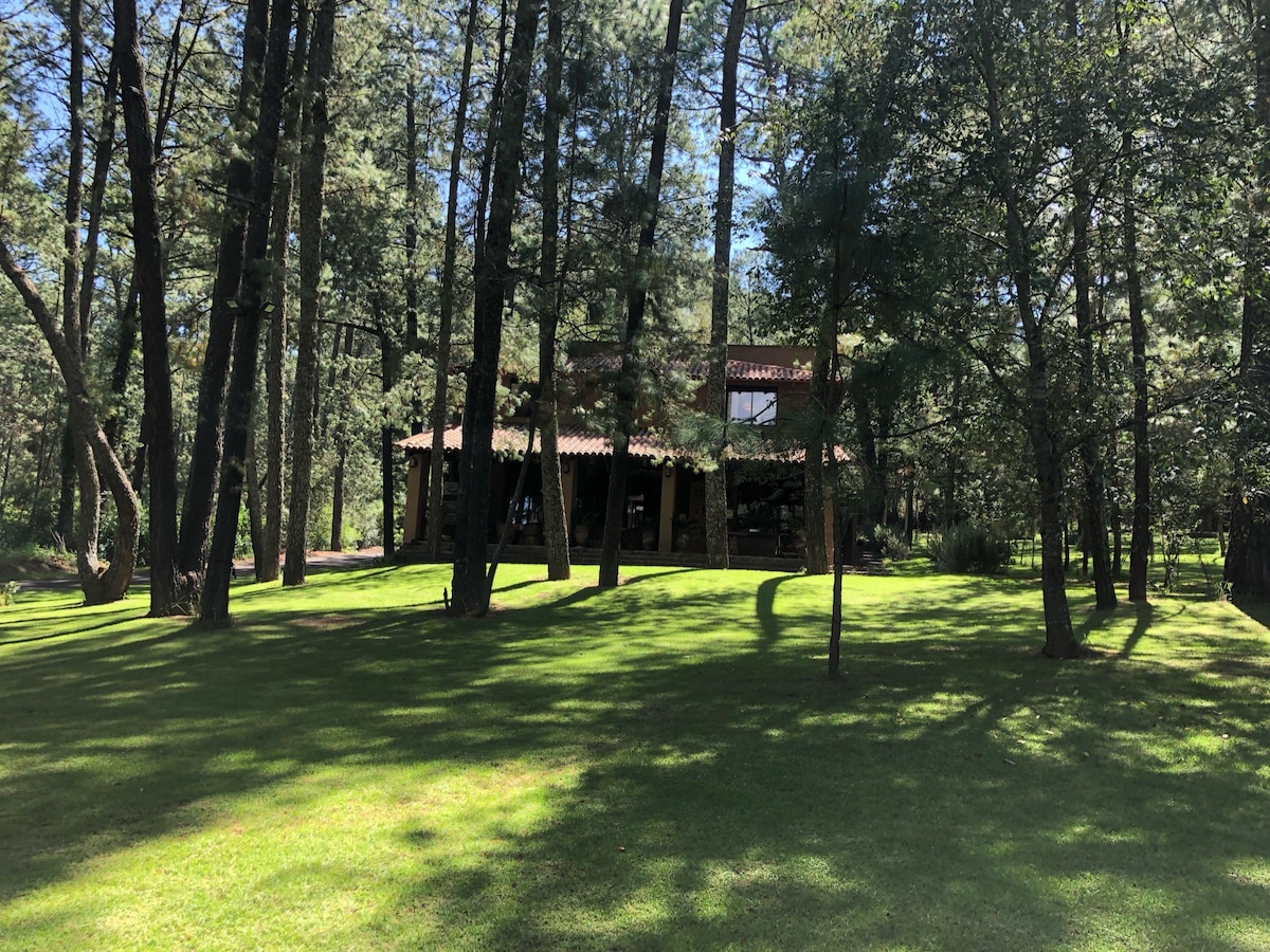 Cabaña en medio del bosque, Hacienda San Francisco