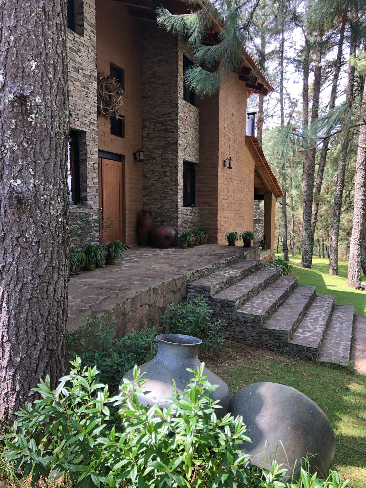 Cabaña en medio del bosque, Hacienda San Francisco