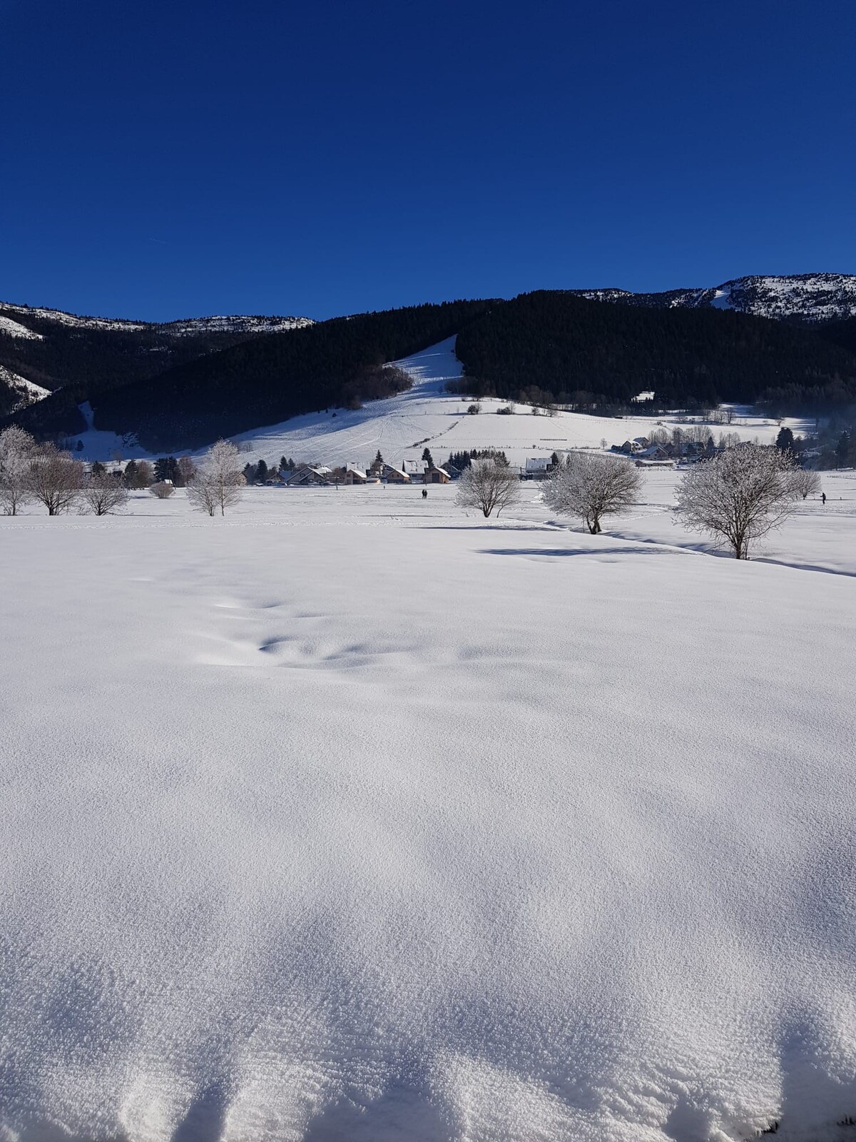 bel appartement 45 m² calme sur jardin avec vue.