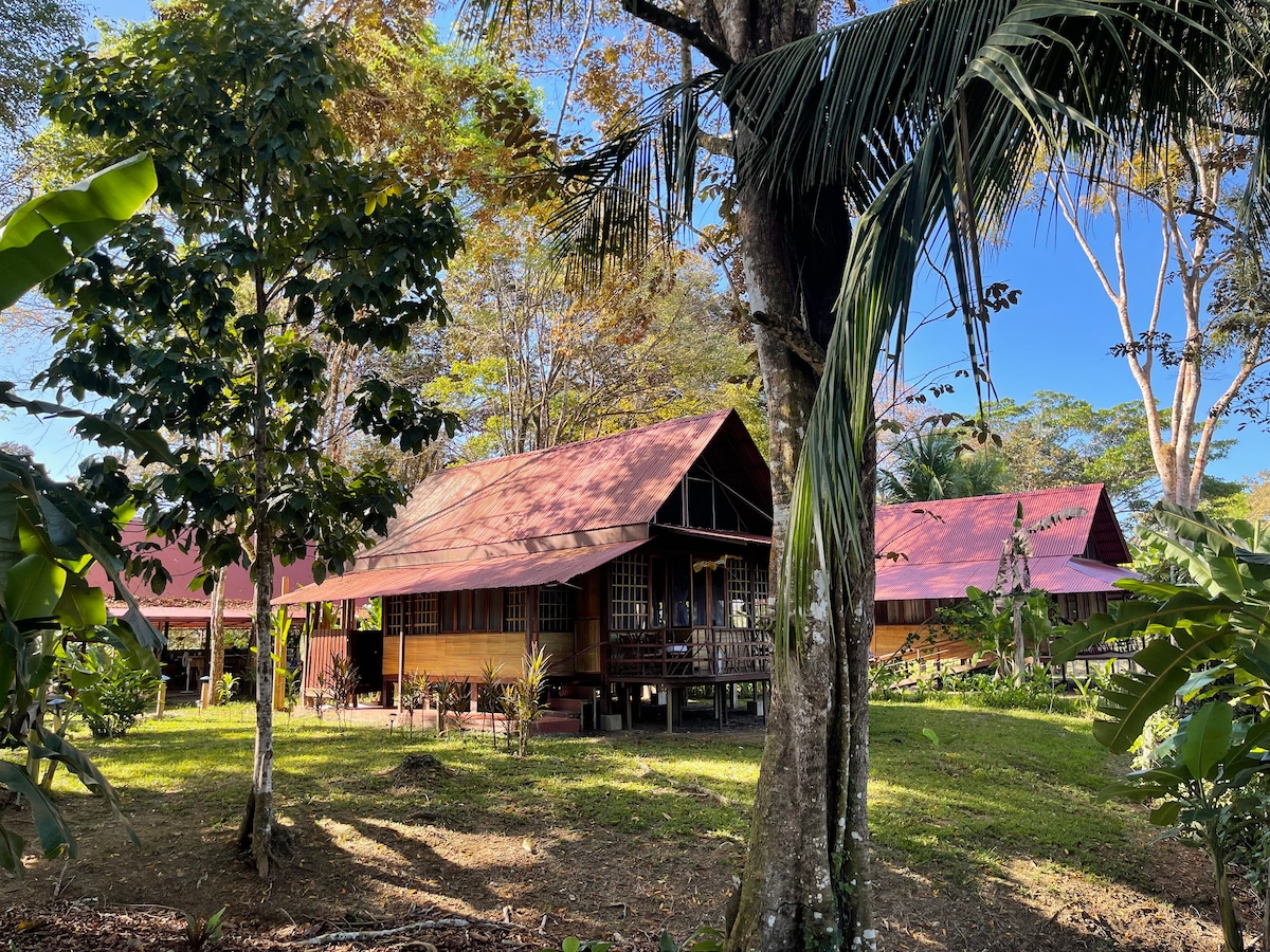 ROSS Tropical Cabin near Corcovado, Osa