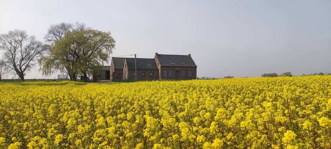 波珀灵厄(Poperinge)的民宿