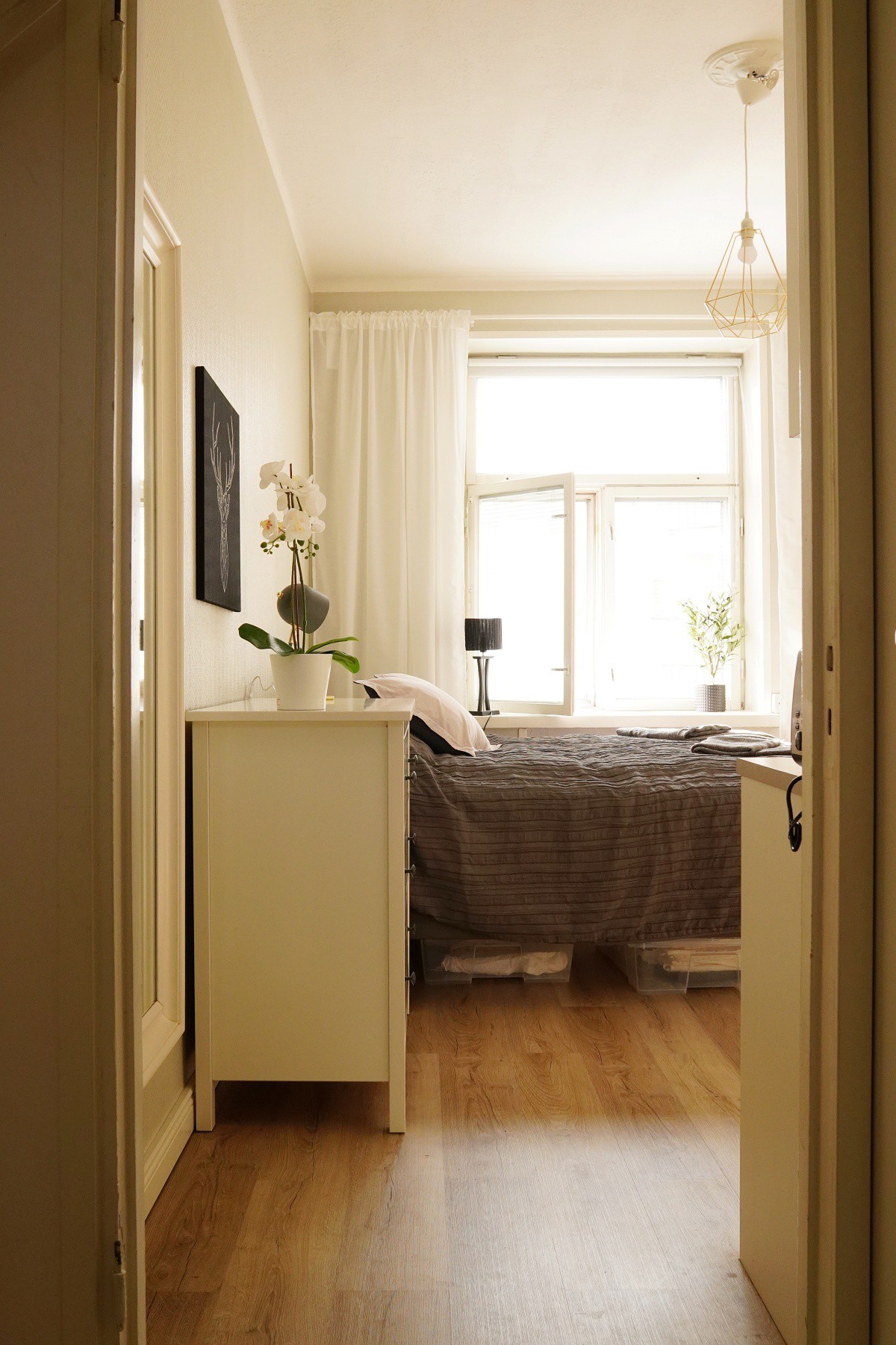 赫尔辛基市中心迷人的小单间公寓