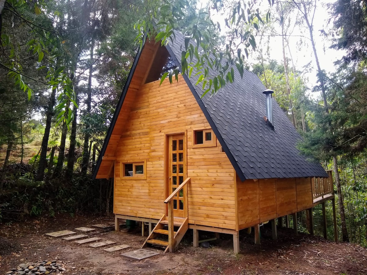 Cabaña Sanary, disfrute, descanso y conexión.