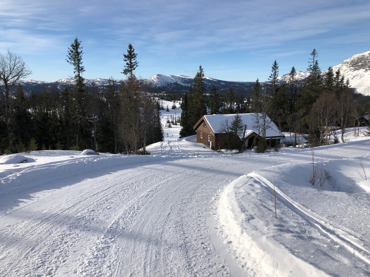 Moderne fjellhytte, badestamp, ski inn / ski out