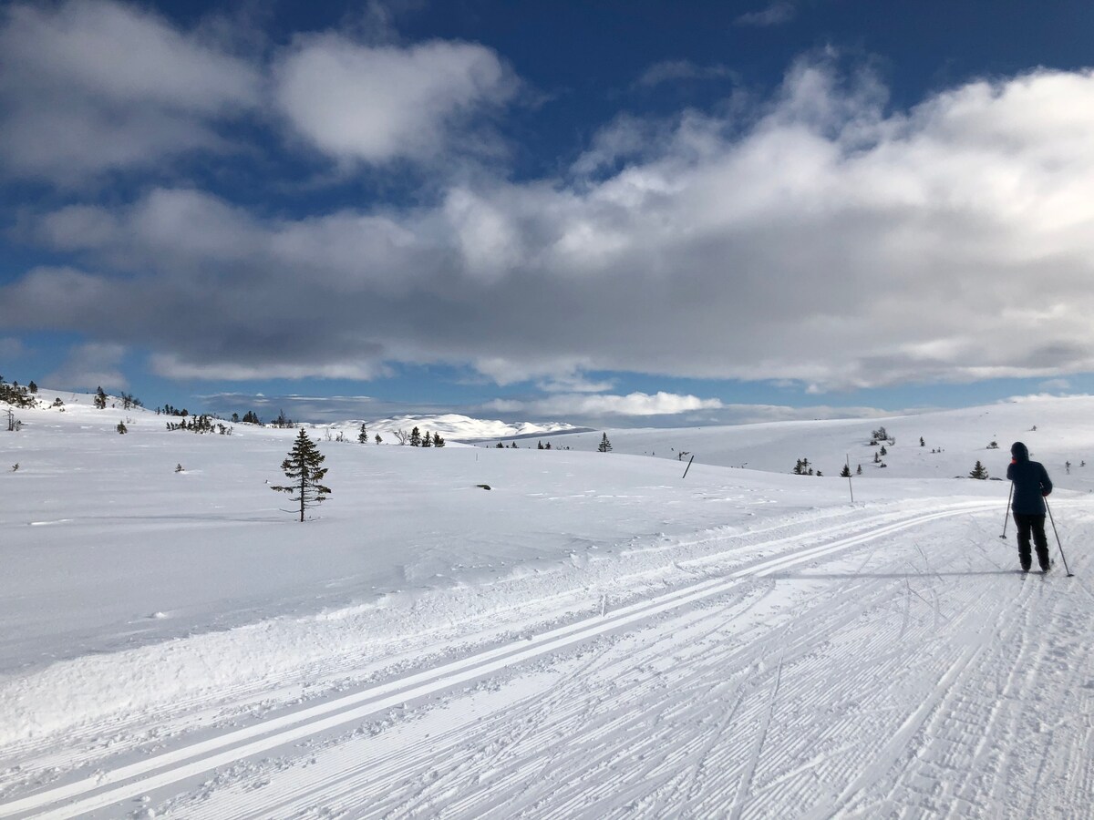 Moderne fjellhytte, badestamp, ski inn / ski out