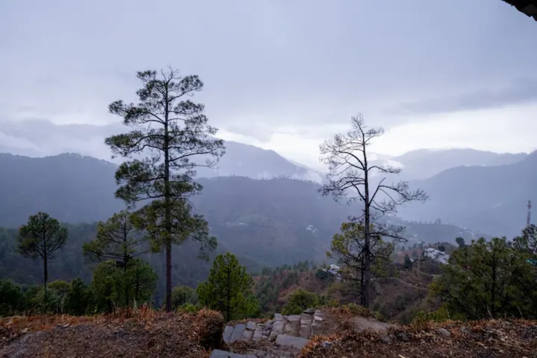 Binsar View Boutique Room l Himalayan Paradise