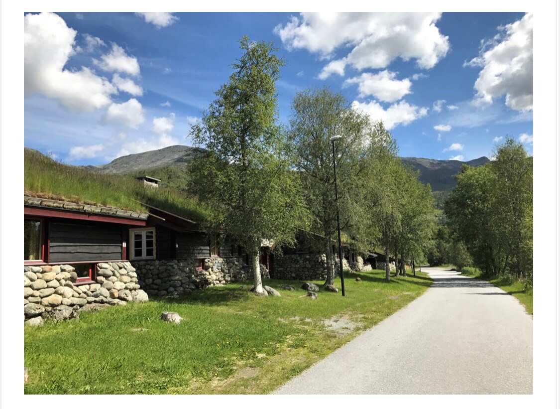 Koselig hytta med flott beliggenhet i Hemsedal