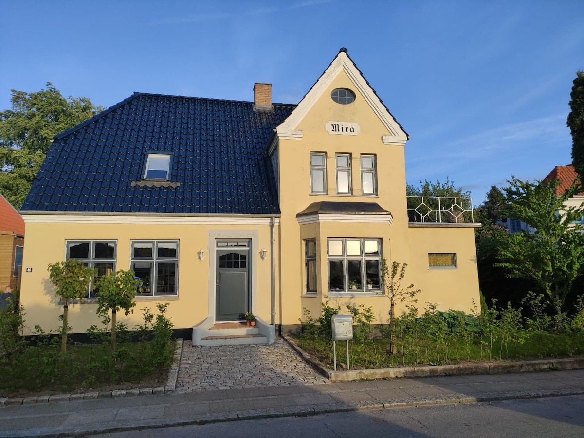 Villa i Odense nær natur, å, centrum og zoo m.m.