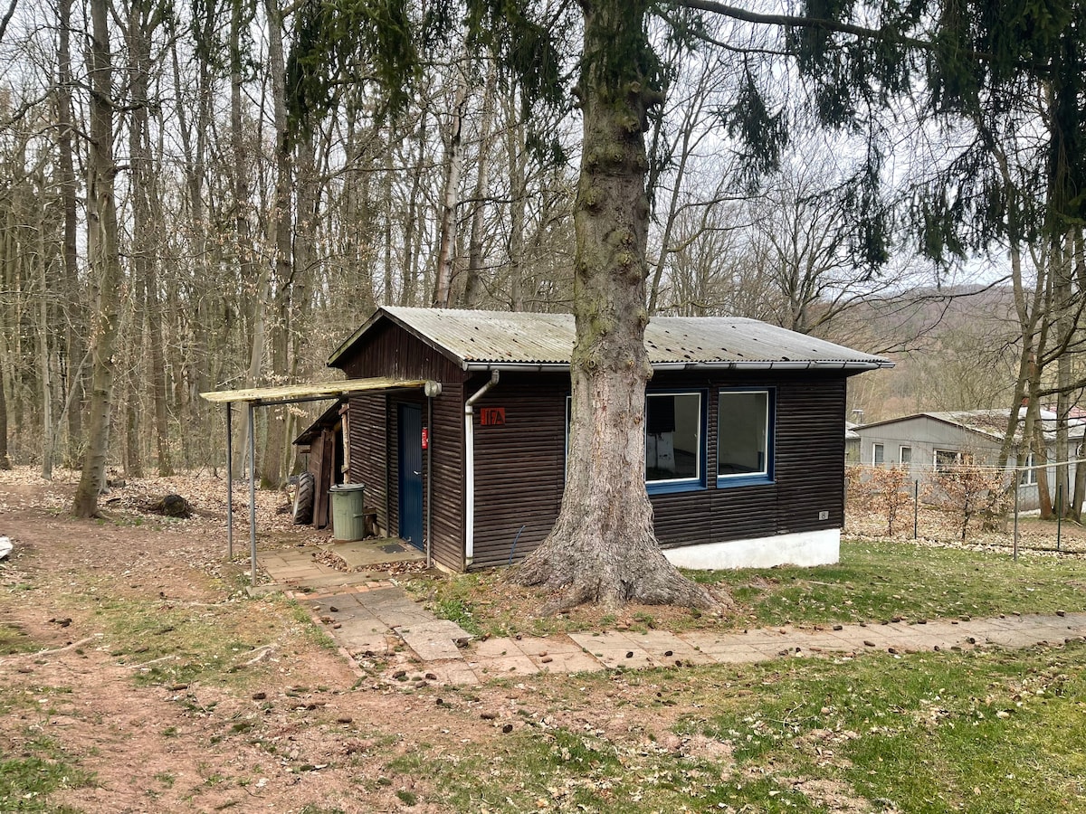 Stay at an authentic East German hiking cabin.
