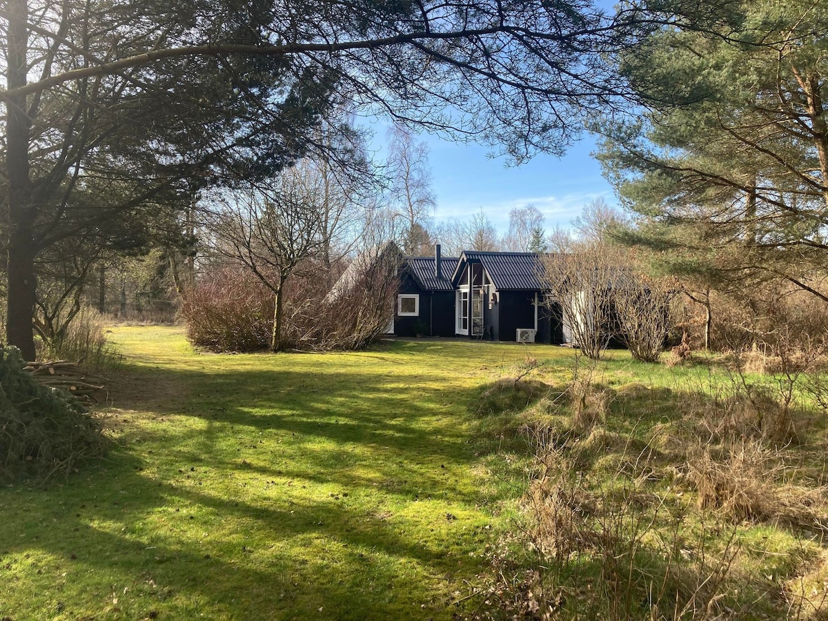 Idyllisk sommerhus i skoven