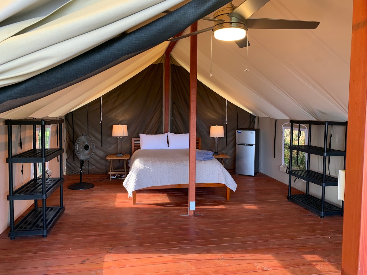 Waipiëo Lodge海景平台帐篷