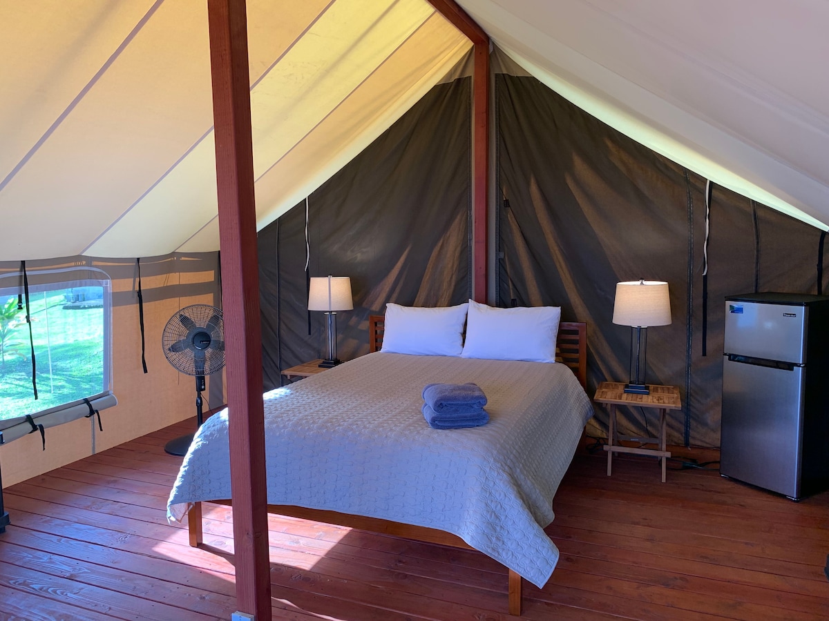 Waipiëo Lodge海景平台帐篷