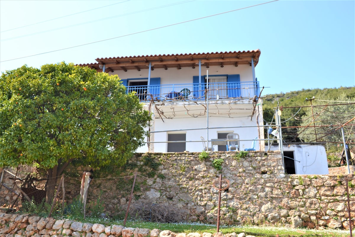 House surrounded by nature with sea view